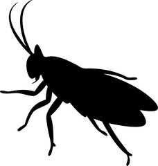 Isolated macro vector illustration of a black beetle insect