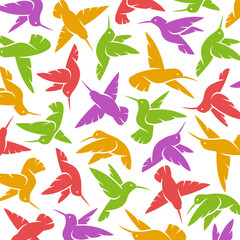 Colibri background, pattern set. Collection icon colibri. Vector