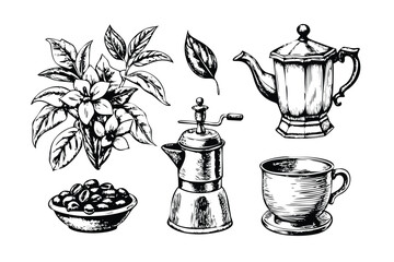 Coffee Vector Engraving Set. Detailed Illustrations of Coffee Plant, Beans, and Brewing Equipment. Vintage Stipple Style