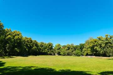 Expansive green meadow embraced by tall trees under a clear blue sky on a sunny afternoon