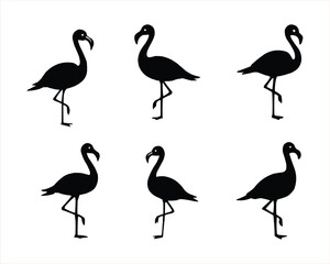 Six stylized black silhouette flamingos against a white background.