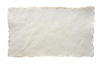 Blank White Paper Sheet with Ragged Edges Isolated on Transparent Background