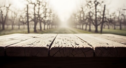 Rustic Wooden Table in a Misty Orchard  Perfect for Autumn Displays