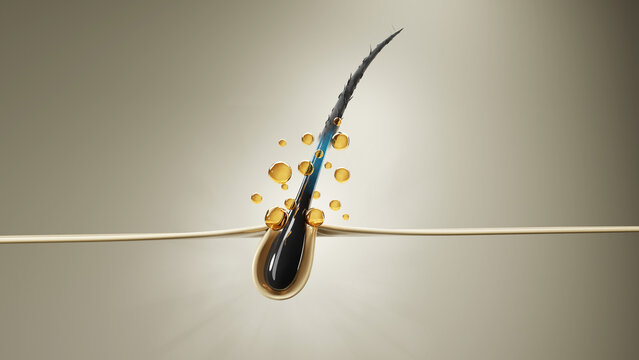 3D medical illustration of hair follicle repair and hair loss treatment. Cosmetic serum action on damaged scalp, showing oil, moisture, and vitamin absorption. Clean, modern skincare science concept.
