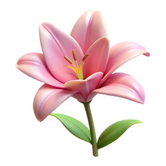 Fototapeta premium Beautiful pink lily flower with green leaves on a white background