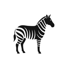 Obraz premium zebra isolated on white background