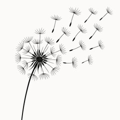 Elegant Handdrawn Dandelion Seed Blowing in The Wind Botanical Illustration