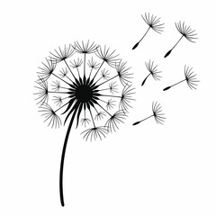 Handdrawn Detailed Dandelion Flower with Flying Seeds Floral Illustration
