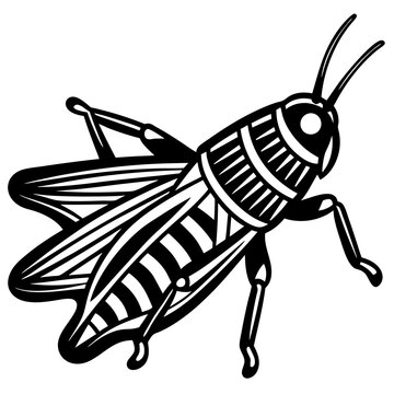 black and white grasshopper insect clip art preview