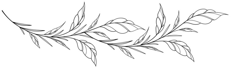 floral leaves line art isolated on white background. Divider doodle leaf and flowers, nature border decorative element vector illustration