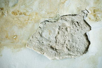 Fungus on the wall after the flooding of the house.