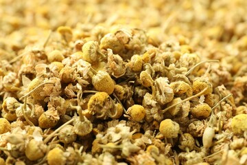 Dry chamomile flowers as background, closeup view