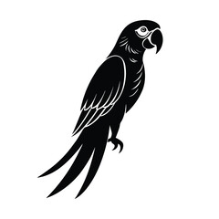 Fototapeta premium Macaw vector silhouette parrot on white background for colorful tropical bird and jungle themes