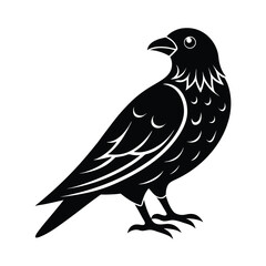 Fototapeta premium Nighthawk vector silhouette bird on white background for flying nocturnal and forest wildlife art