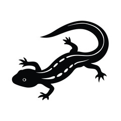 Fototapeta premium Newt vector silhouette amphibian on white background for lizard like animal and nature artwork
