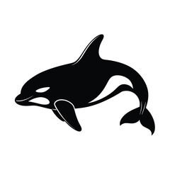 Obraz premium Orca vector silhouette killer whale on white background for marine mammal and ocean wildlife themes