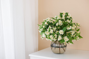 Beautiful jasmine flowers in vase on white table near beige wall indoors, space for text