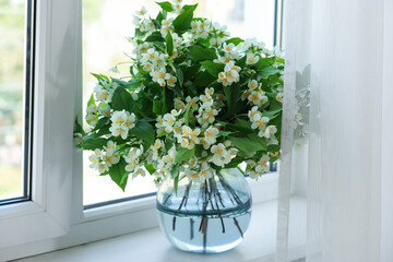 Beautiful jasmine flowers in vase near window indoors