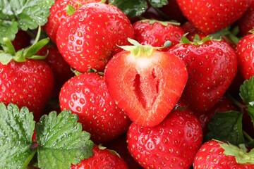 Fresh whole, cut strawberries and green leaves as background, closeup