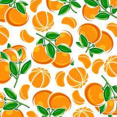 Mandarin background pattern set. Collection icon mandarin. Vector