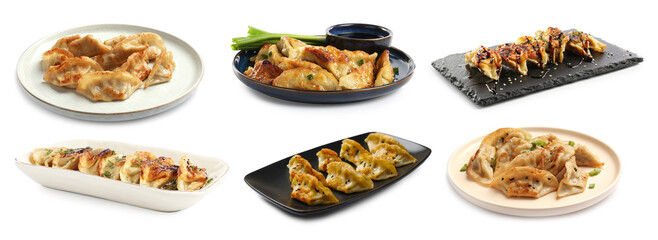 Tasty fried gyoza (dumplings) on white background, collage