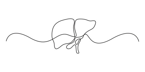 Obraz premium One continuous line drawing of liver anatomy. Single continuous line drawing of liver icon, Human organ medical concept vector illustration