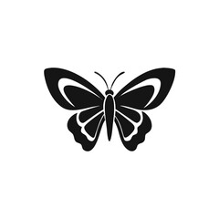 Fototapeta premium butterfly vector illustration