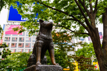 Hachiko statue at station by Shibuya crossing, Tokyo, Japan