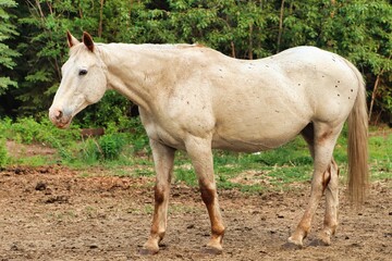 Obraz premium Yukon Territories, Canada