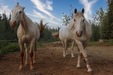 Yukon Territories, Canada