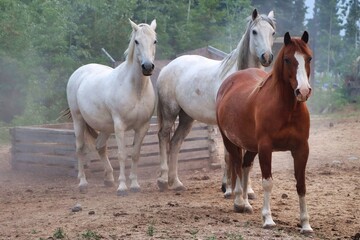 Yukon Territories, Canada