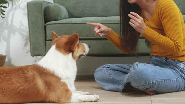 Asian young woman sits on the floor beside her sofa, gently stroking her Corgi dog head relax at home, reflecting warmth, pet lover, the comfort of home life.