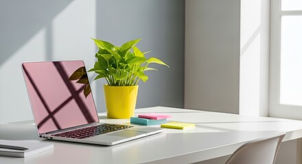 Bright Workspace Laptop Sticky Note Yellow Plant Productive Home Office