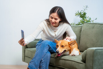 Asian young woman sits on the floor beside her sofa, gently stroking her Corgi dog head relax at...