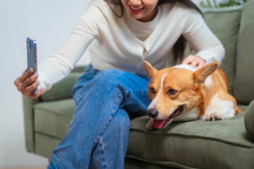 Asian young woman sits on the floor beside her sofa, gently stroking her Corgi dog head relax at...