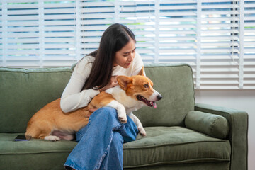 Asian young woman sits on the floor beside her sofa, gently stroking her Corgi dog head relax at...