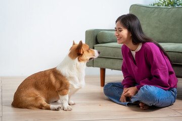 Asian young woman sits on the floor beside her sofa, gently stroking her Corgi dog head relax at...
