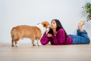 Asian young woman sits on the floor beside her sofa, gently stroking her Corgi dog head relax at...