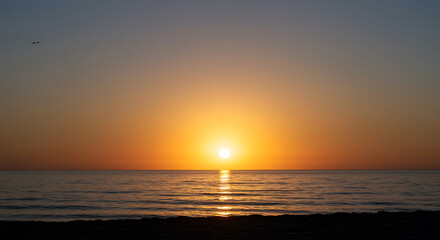 Fototapeta premium Golden ocean sunset with birds flying water horizon