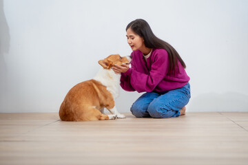 Asian young woman sits on the floor beside her sofa, gently stroking her Corgi dog head relax at...