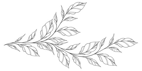 floral leaves line art isolated on white background. Divider doodle leaf and flowers, nature border decorative element vector illustration