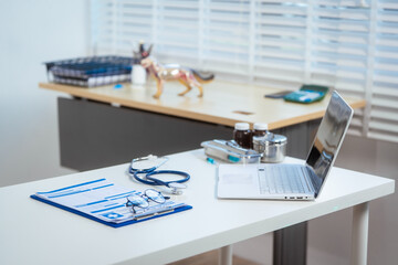 A canine anatomical model is displayed in a veterinary clinic, surrounded by medical tools and...