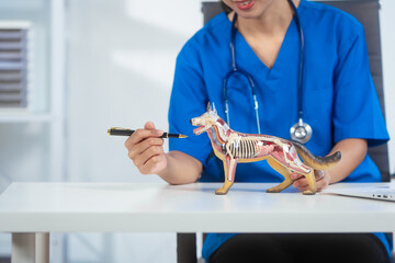 An Asian female veterinarian in blue scrubs and glasses works diligently at her desk, using a...