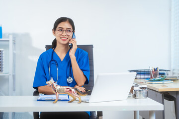An Asian female veterinarian in blue scrubs and glasses works diligently at her desk, using a canine anatomical model and laptop to diagnose and plan treatment in a professional clinical environment.