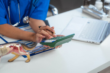 An Asian female veterinarian in blue scrubs and glasses works diligently at her desk, using a canine anatomical model and laptop to diagnose and plan treatment in a professional clinical environment.