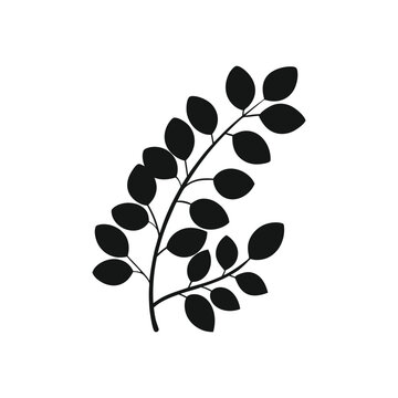 Leaf With Rounded Connected
