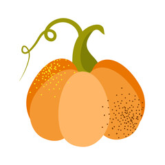 Vector pumpkin icon. Orange and yellow autumn squash. Large gourd vegetable. Farm harvest vegetable fresh and tasty