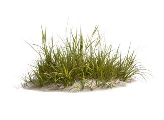  patch of grass isolated on white background PNG, AI GENERATED