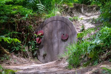 wooden fairy door in the countryside