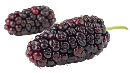 Mulberry isolated on a white background PNG. AI GENERATED.